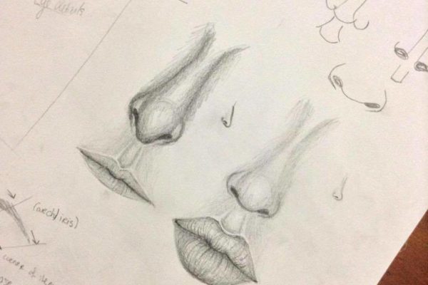 Beginner Drawing course for Adults