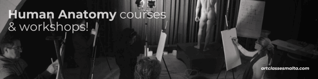 Master human anatomy in art with this workshops and classes! Art Classes Malta